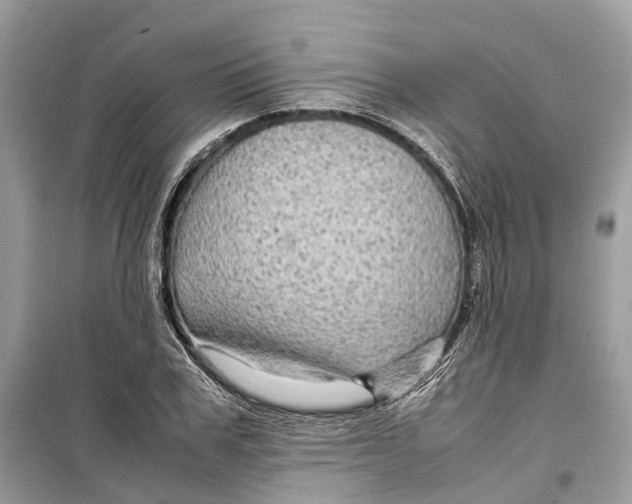 X0000099310979200805231359