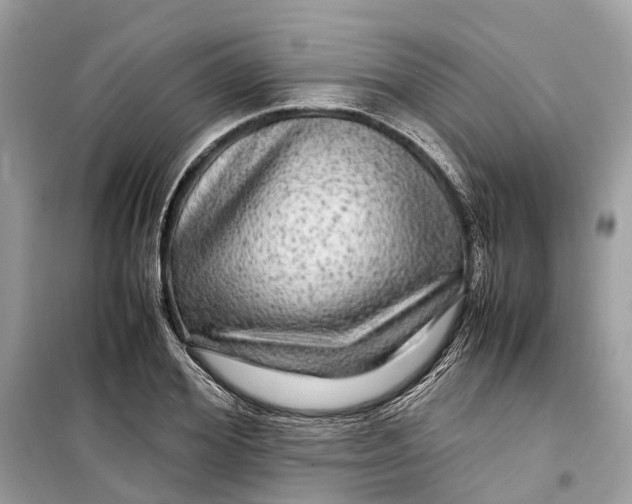 X0000099310980200805231359