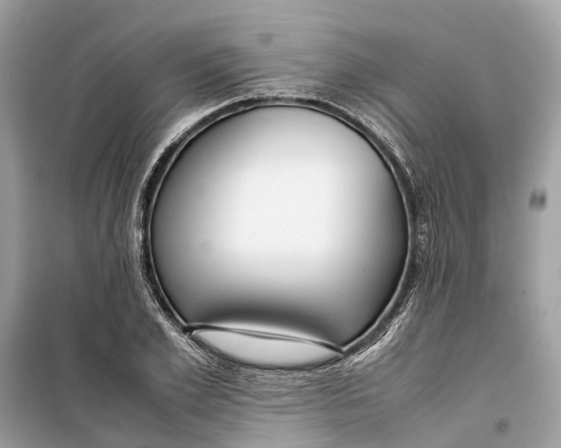 X0000099310981200805231359