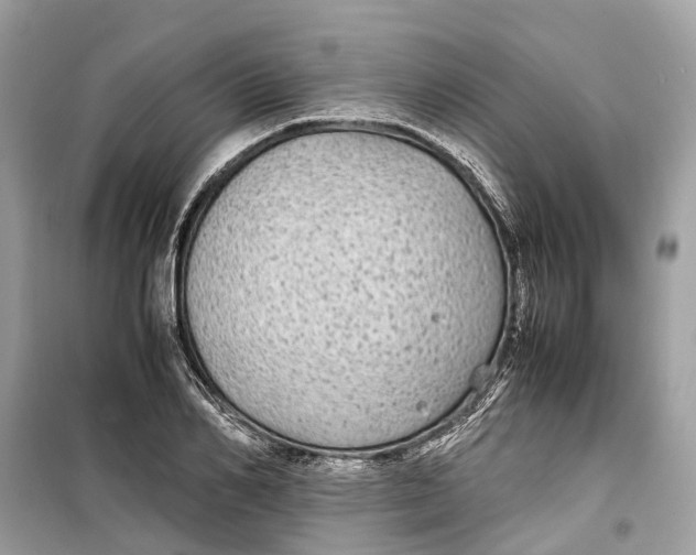 X0000099310982200805231359