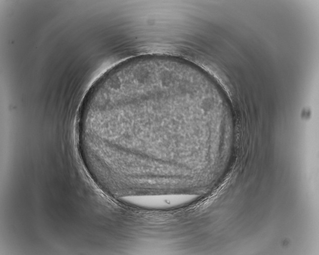 X0000099310983200805231359