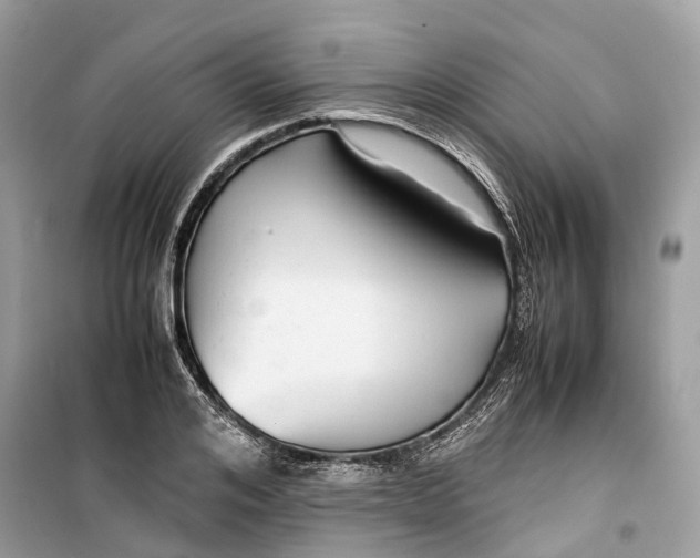 X0000099310984200805231359