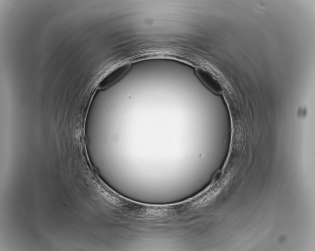 X0000099310985200805231359