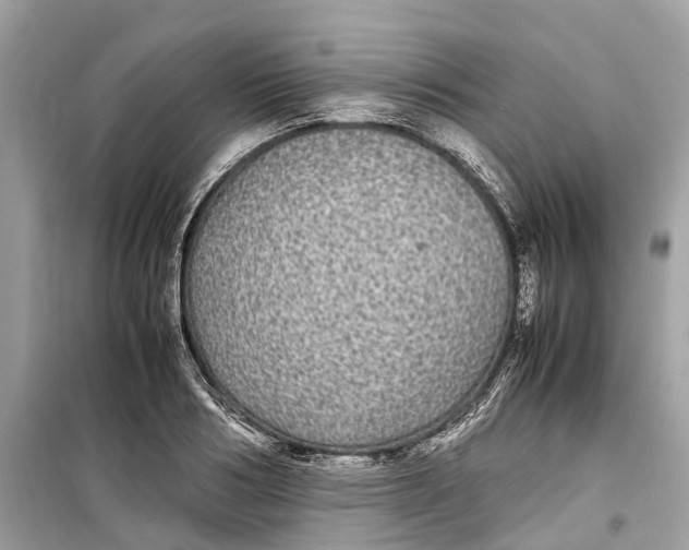 X0000099310986200805231359