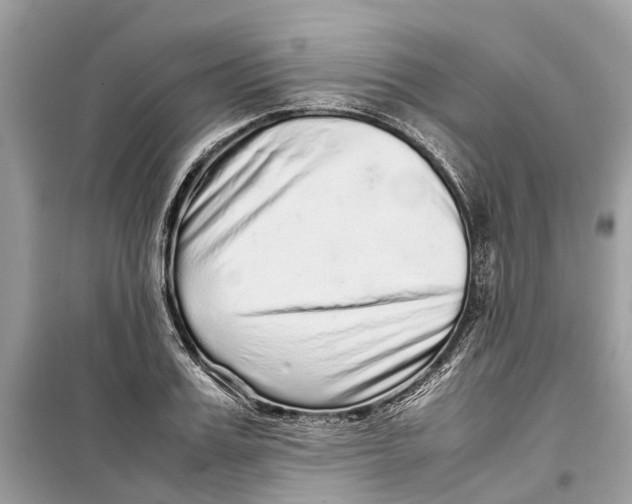 X0000099310987200805231359