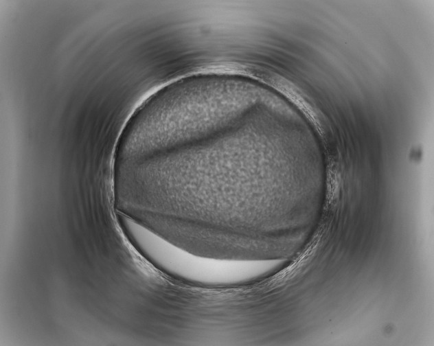 X0000099310988200805231359