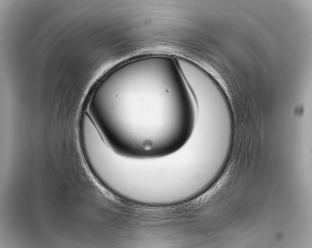 X0000099310989200805231359