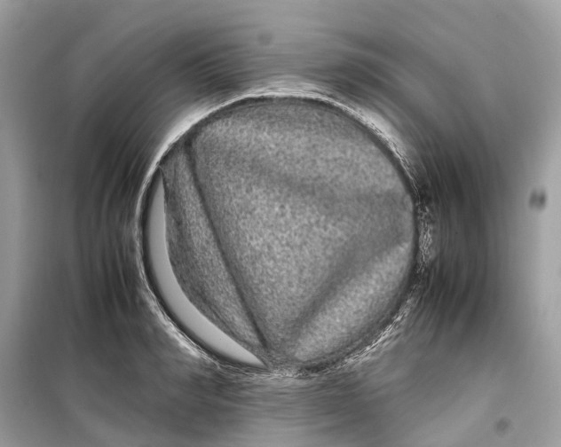 X0000099310990200805231359