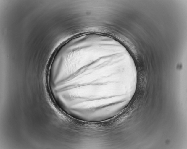 X0000099310991200805231359