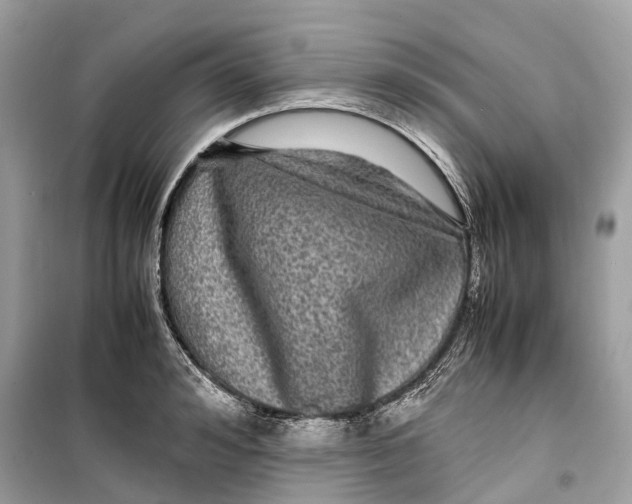 X0000099310992200805231359