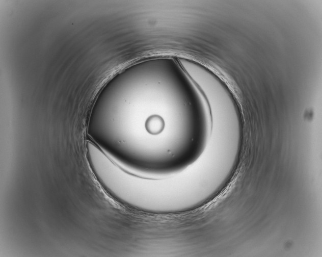 X0000099310993200805231359