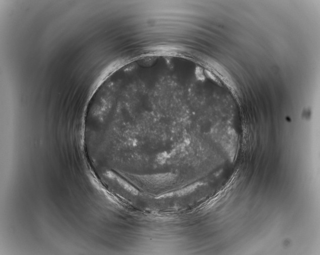 X0000099310994200805231359