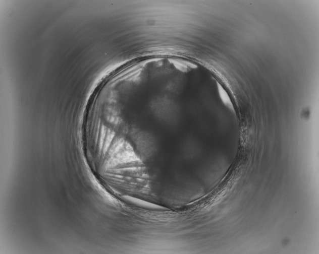 X0000099310995200805231359