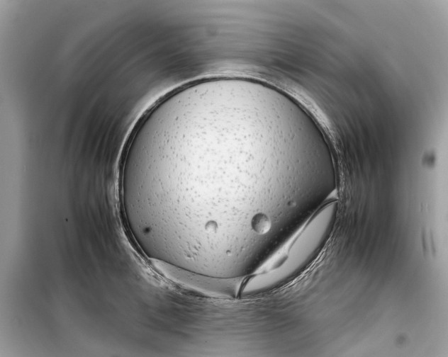 X0000099310996200805231359