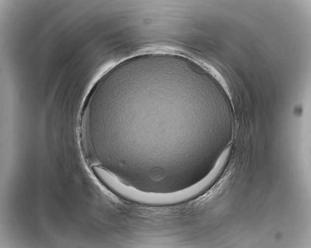 X0000099310997200805231359