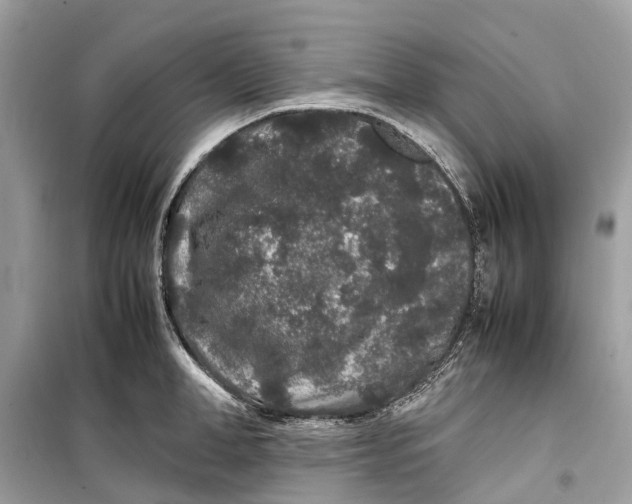 X0000099310998200805231359