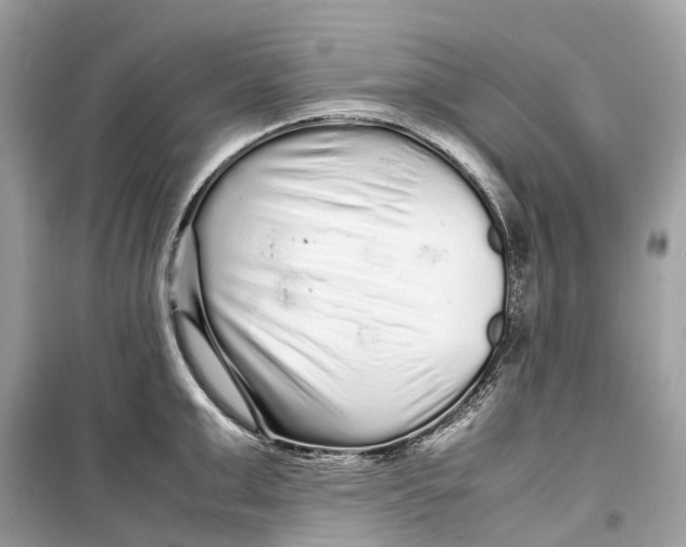 X0000099310999200805231359