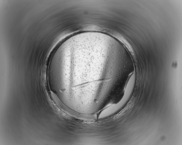 X0000099311000200805231359