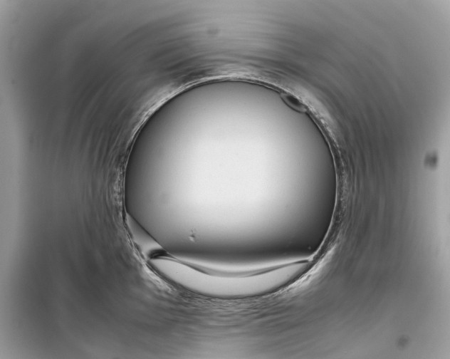 X0000099311001200805231359