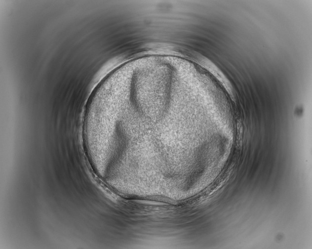 X0000099311002200805231359