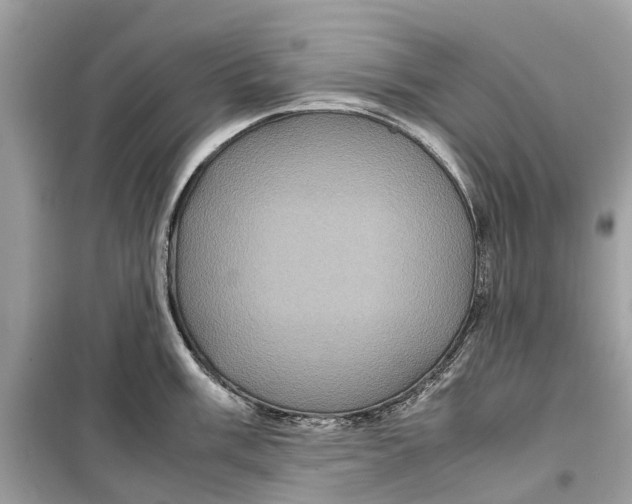 X0000099311003200805231359