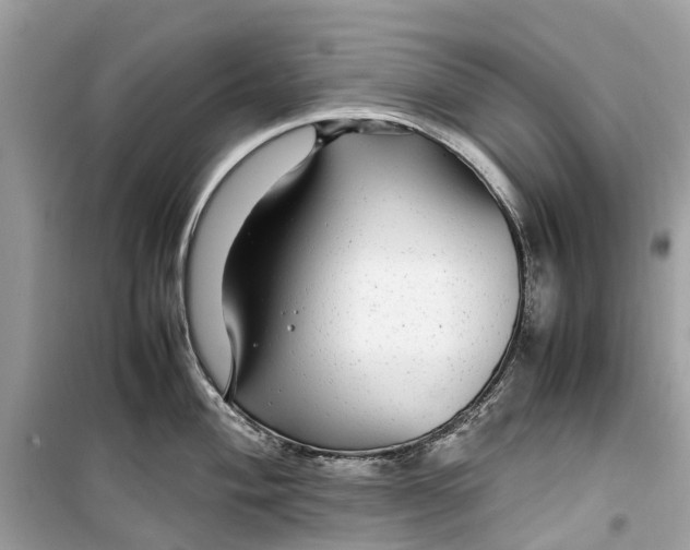 X0000099311004200805231359