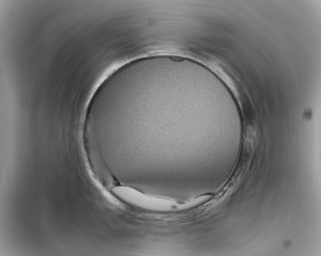 X0000099311005200805231359