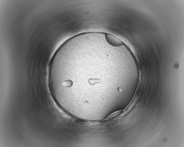 X0000099311006200805231359