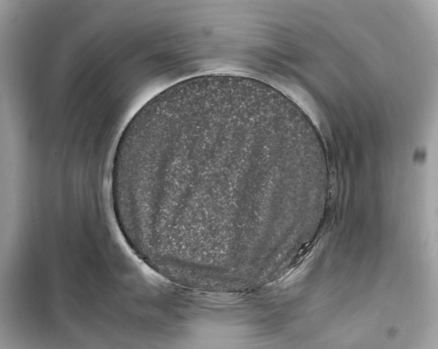 X0000099311007200805231359