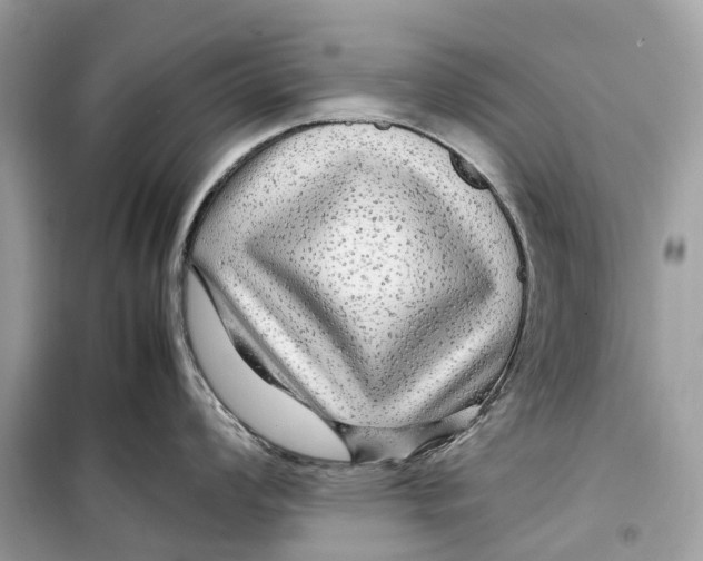 X0000099311008200805231359