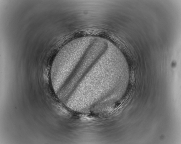 X0000099311010200805231358