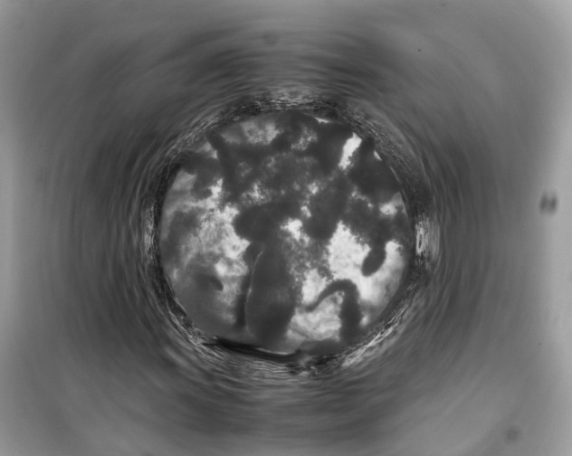 X0000099311011200805231358