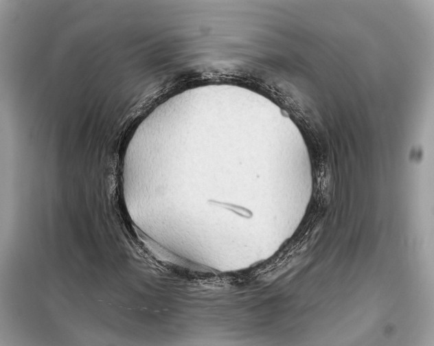 X0000099311012200805231358