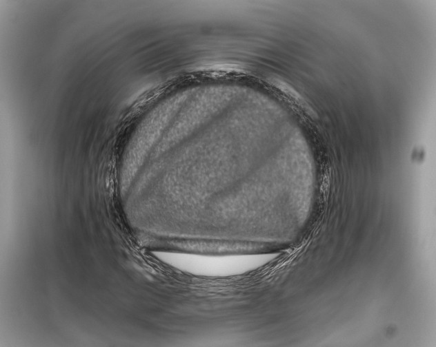 X0000099311014200805231358