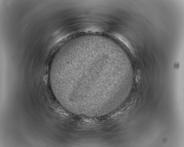 X0000099311015200805231358