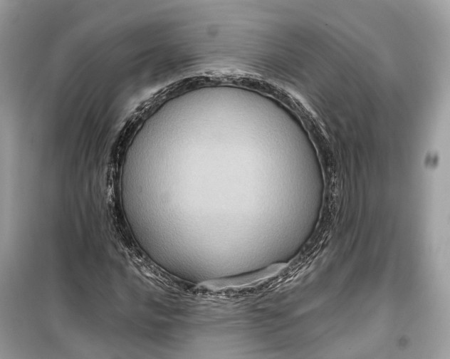 X0000099311016200805231358