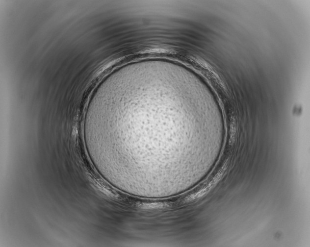 X0000099311017200805231358