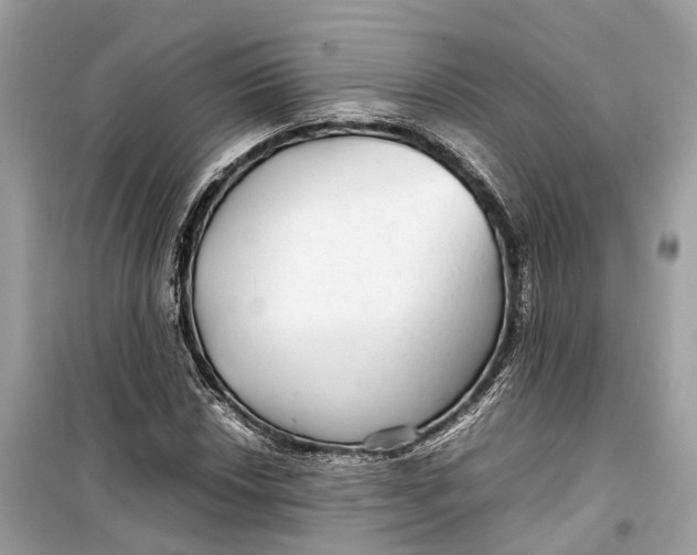 X0000099311018200805231358