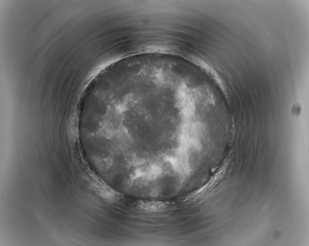 X0000099311019200805231358