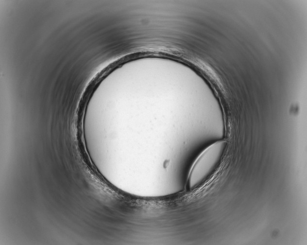 X0000099311020200805231358