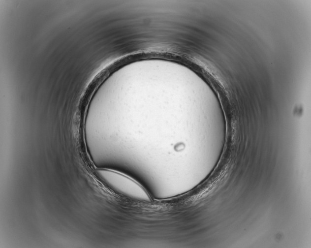 X0000099311021200805231358