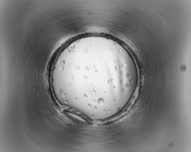 X0000099311022200805231358