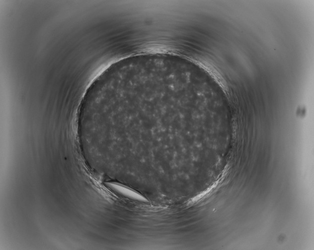 X0000099311023200805231358