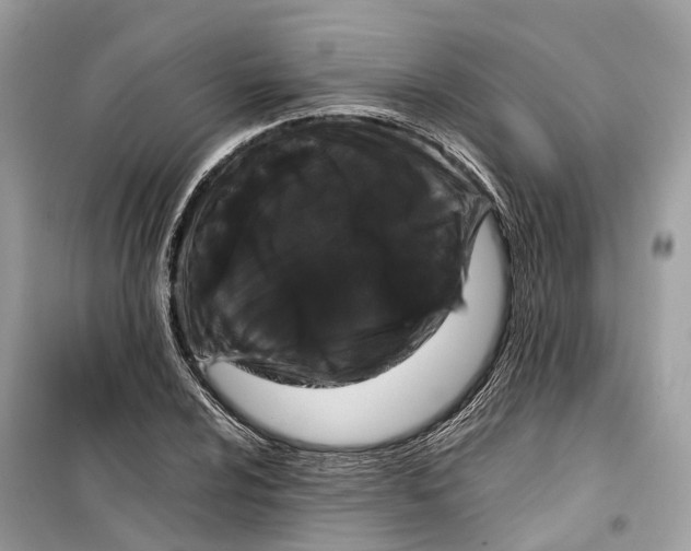 X0000099311024200805231358