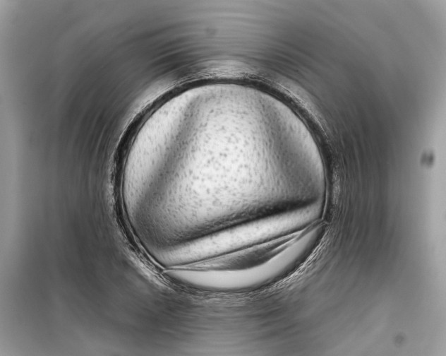 X0000099311026200805231358