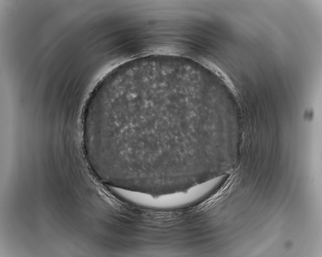 X0000099311027200805231358