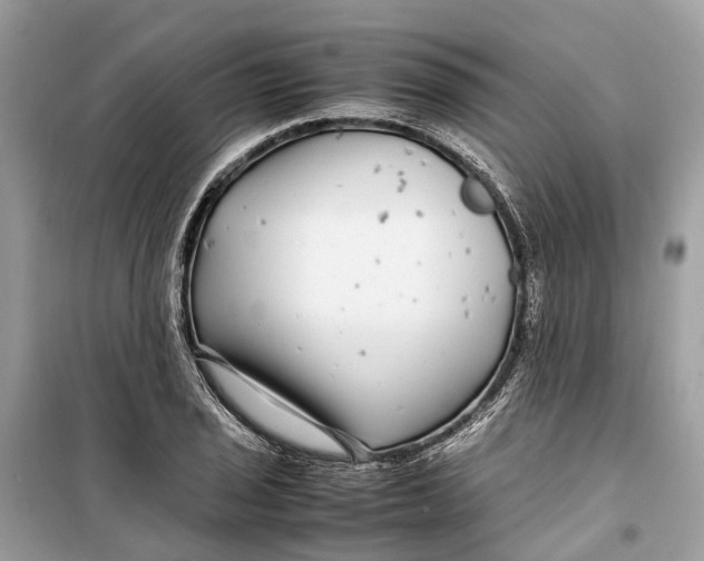 X0000099311029200805231358