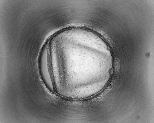 X0000099311030200805231358