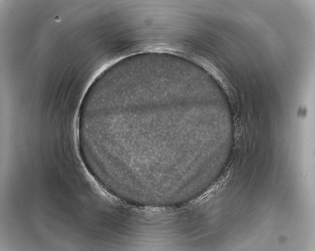 X0000099311032200805231358