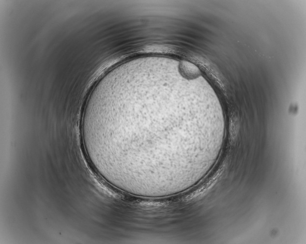 X0000099311033200805231358